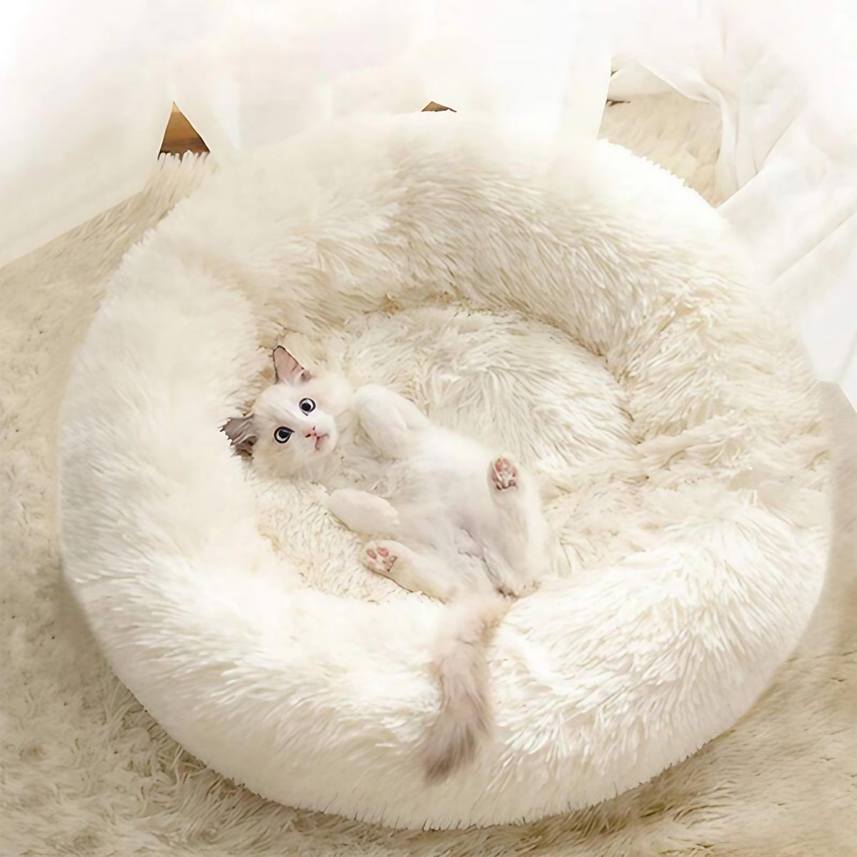 Coussin rond pour chat, rembourrage moelleux, de 40 à 100 cm, blanc perle