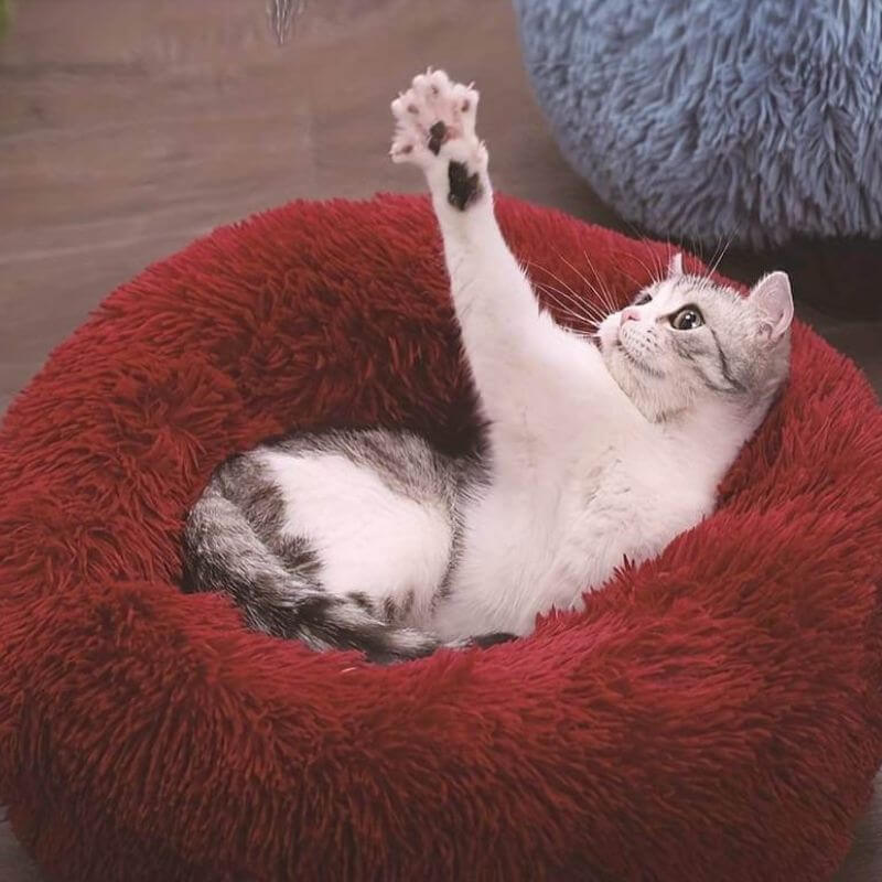 Coussin rond pour chat, rembourrage moelleux, de 40 à 100 cm, bordeaux