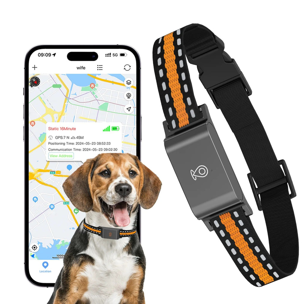 Collier GPS chien et chat, suivi en temps réel, étanche IP65
