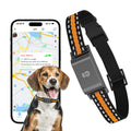 Collier GPS chien et chat, suivi en temps réel, étanche IP65