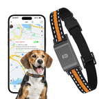 Collier GPS chien et chat, suivi en temps réel, étanche IP65