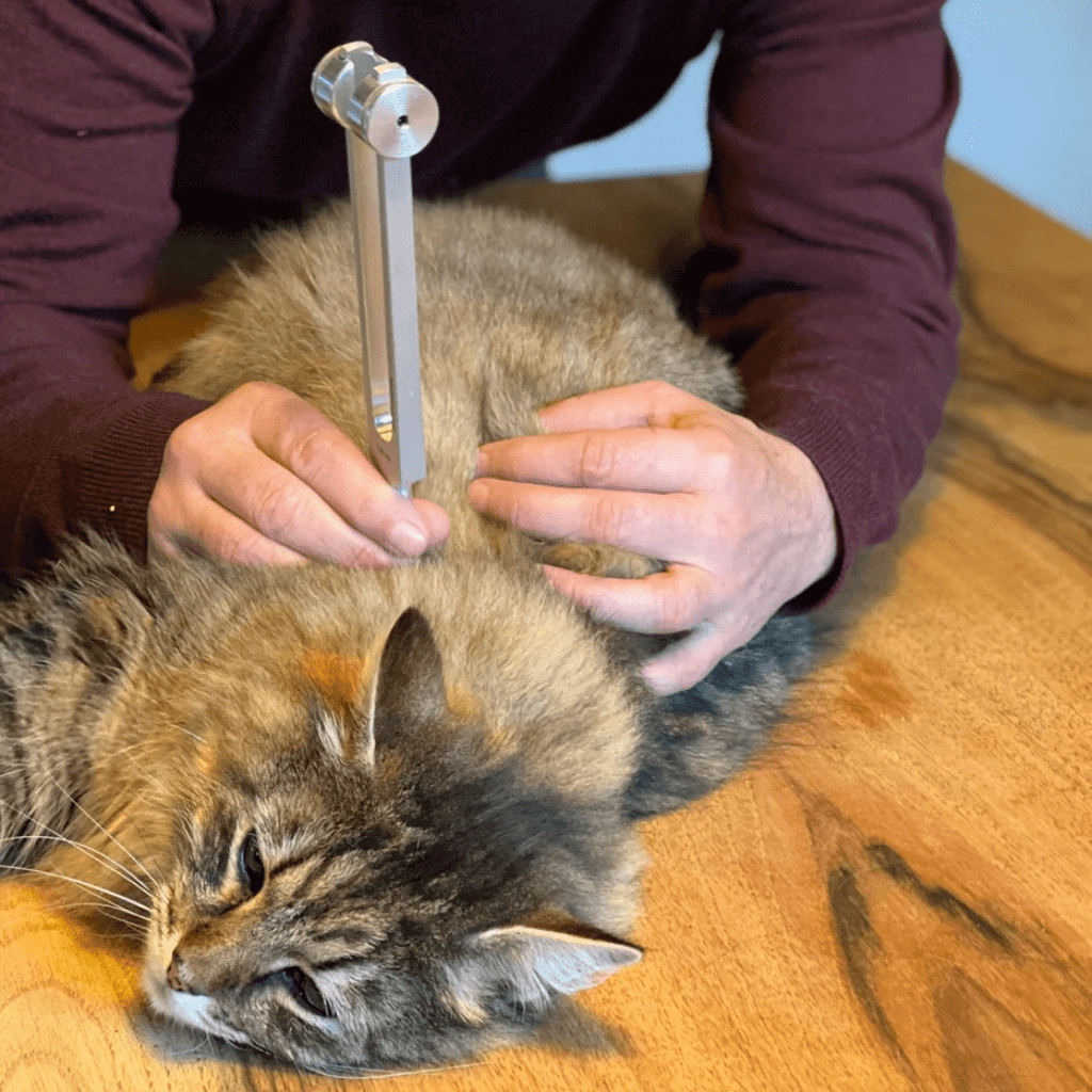 Diapason en métal 128 Hz pour méditation et relaxation sonore