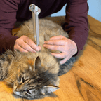 Diapason en métal 128 Hz pour méditation et relaxation sonore