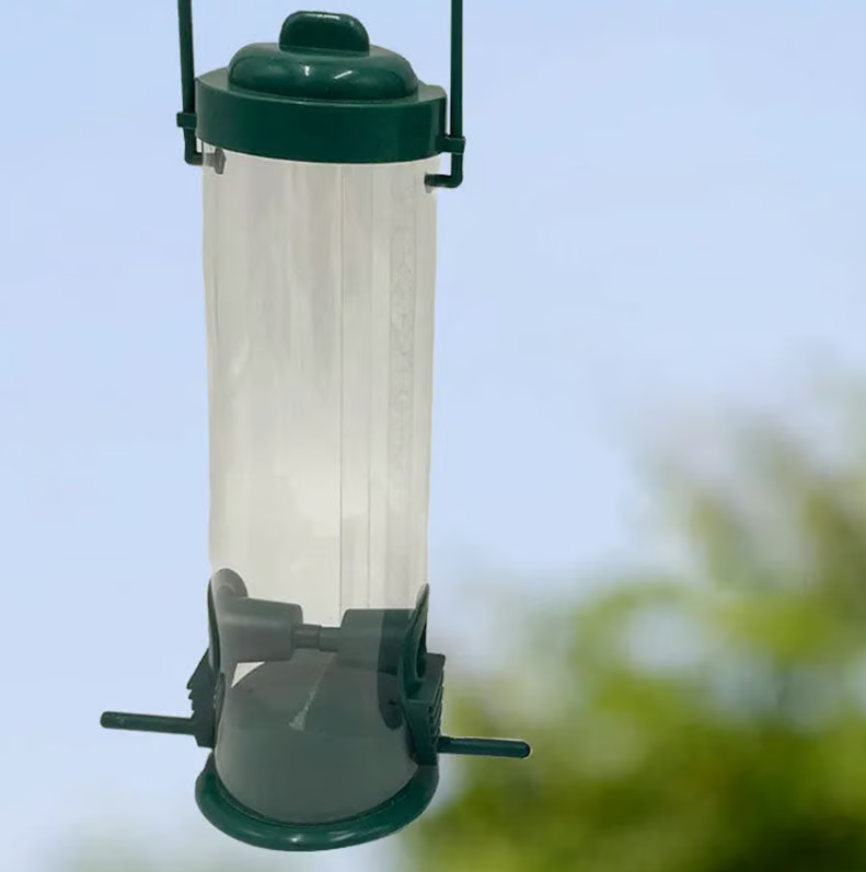 Mangeoire à graines pour oiseaux, anti-écureuil, sans rouille