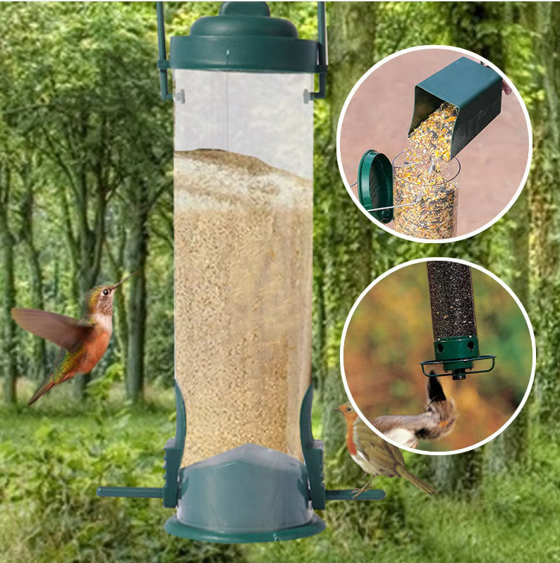 Mangeoire à graines pour oiseaux, anti-écureuil, sans rouille