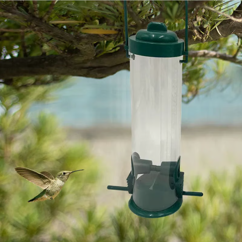 Mangeoire à graines pour oiseaux, anti-écureuil, sans rouille