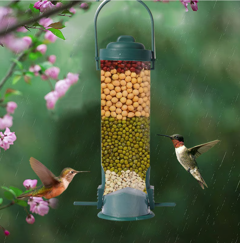 Mangeoire à graines pour oiseaux, anti-écureuil, sans rouille