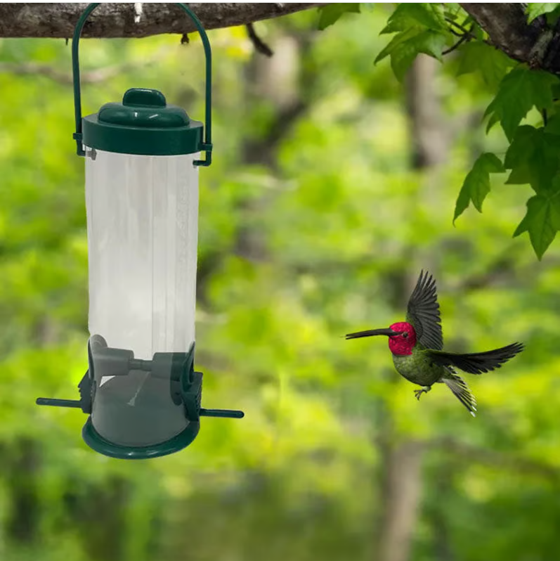 Mangeoire à graines pour oiseaux, anti-écureuil, sans rouille