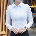 Chemise femme habillée, quatre coloris, du S au 3XL, blanc