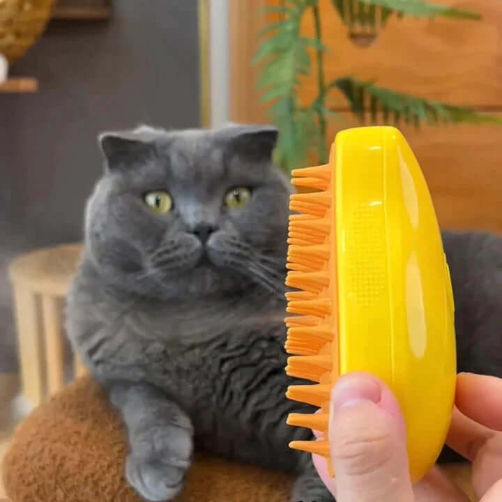 Brosse à brume pour chat et chien, anti-poils et massage