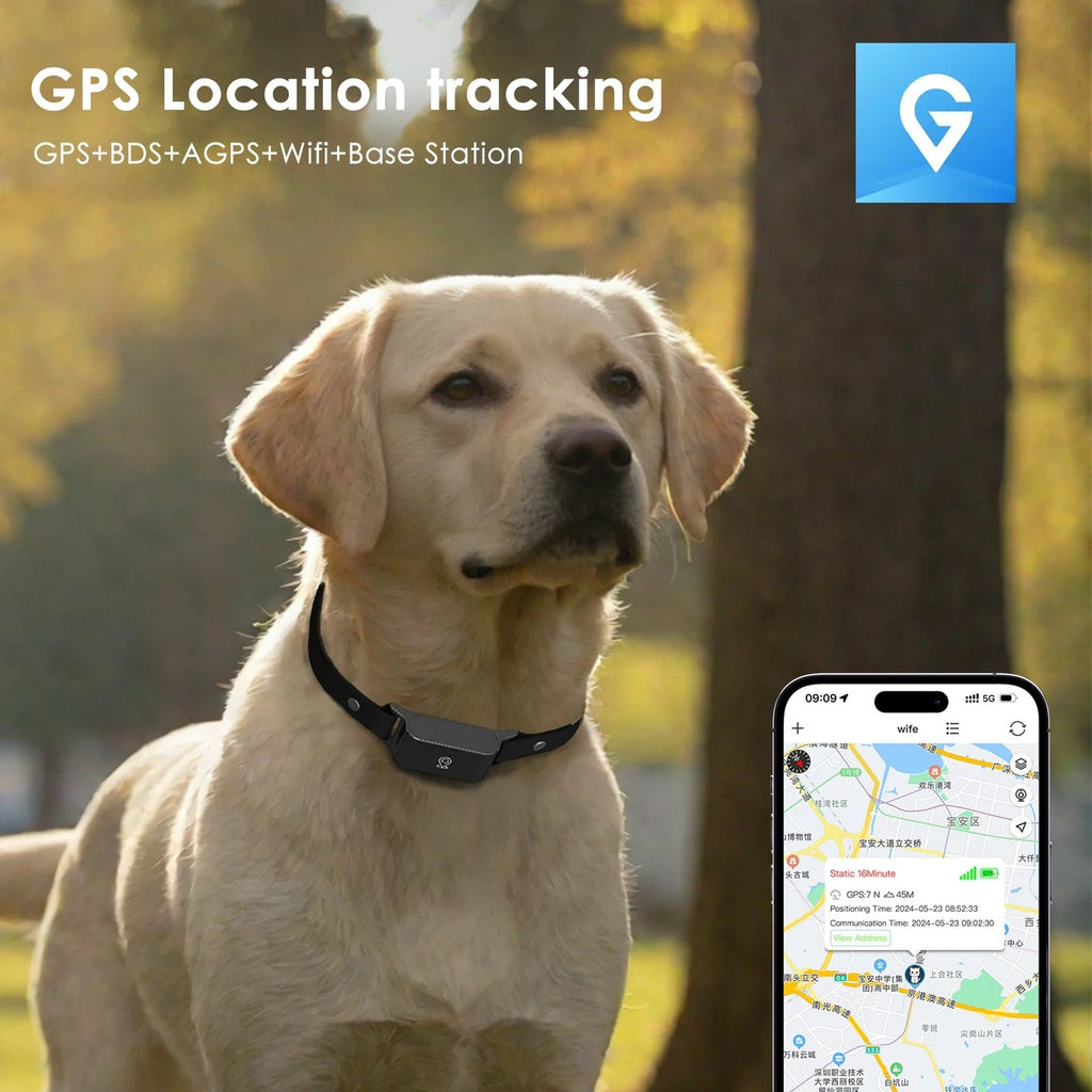 Collier GPS chien et chat, suivi en temps réel, étanche IP65