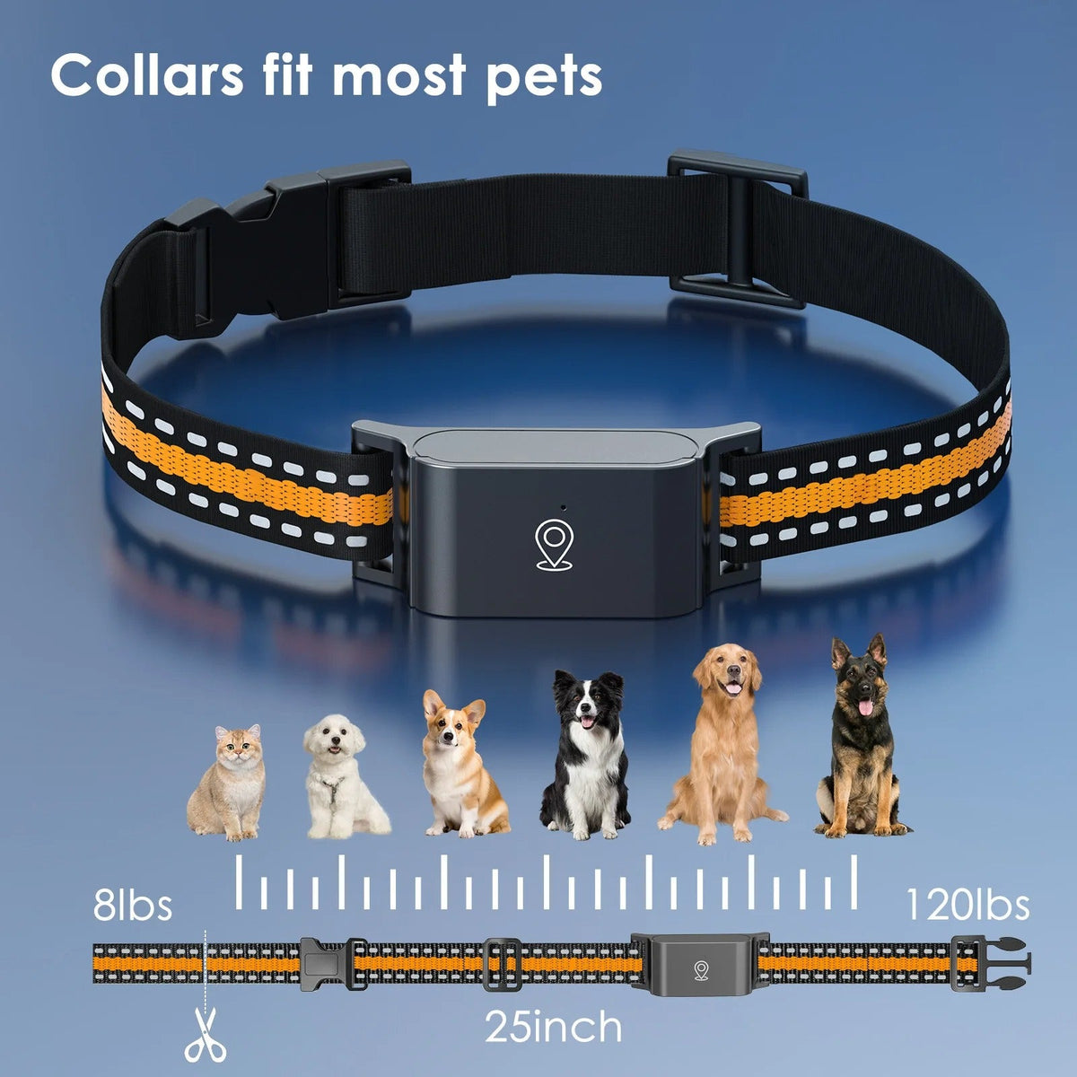 Collier GPS chien et chat, suivi en temps réel, étanche IP65