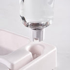 Fontaine à eau pour chat sans électricité, avec gamelle, 500 ml