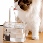 Fontaine à eau pour chat et chien avec filtre, 1,5 L, transparente