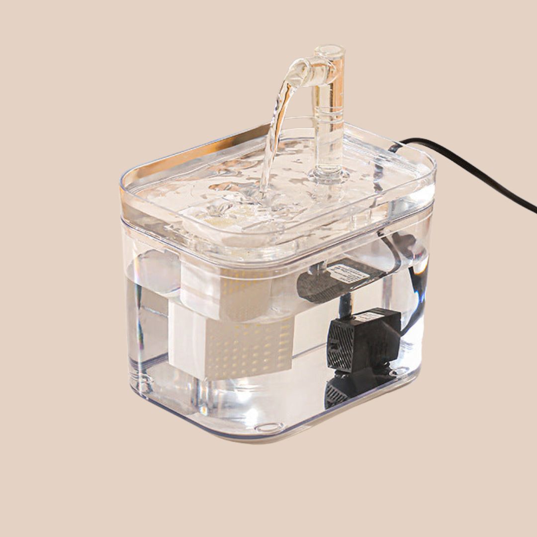 Fontaine à eau pour chat et chien avec filtre, 1,5 L, transparente