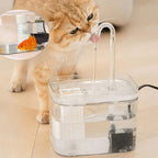 Fontaine à eau pour chat et chien avec filtre, 1,5 L, transparente