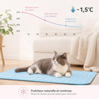 Tapis rafraîchissant pour chat sans électricité, trois tailles