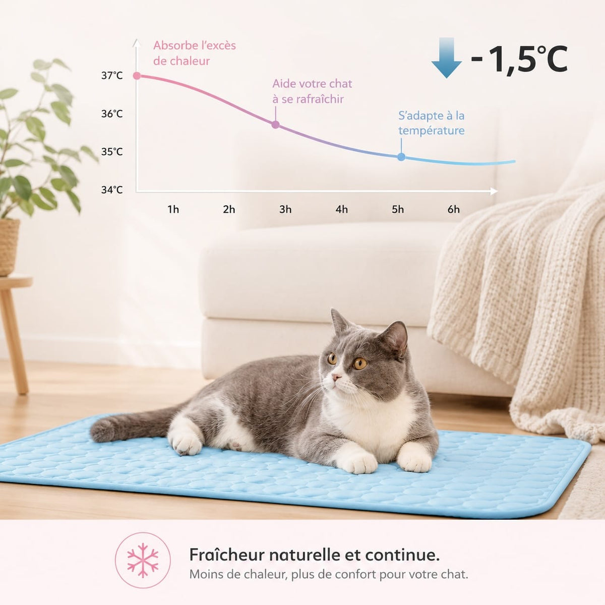 Tapis rafraîchissant pour chat sans électricité, trois tailles
