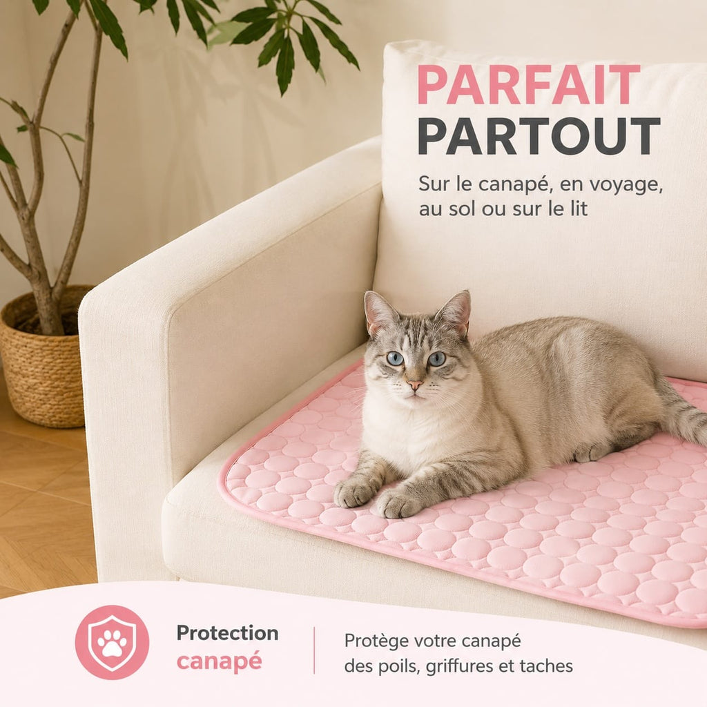 Tapis rafraîchissant pour chat sans électricité, trois tailles
