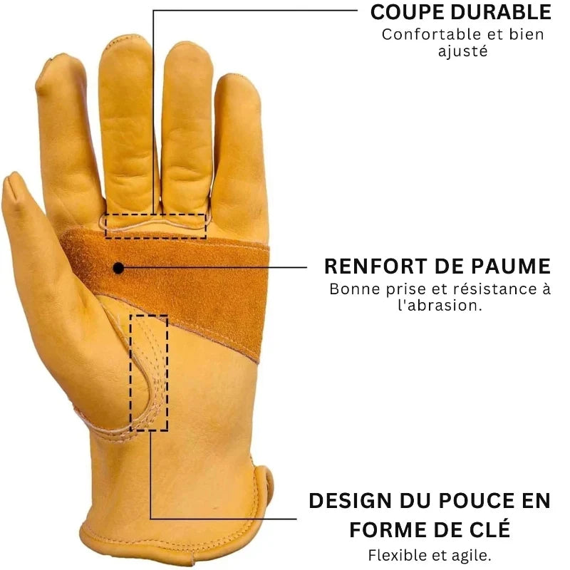 Gants de travail en cuir de vachette, dos en toile, M à XL