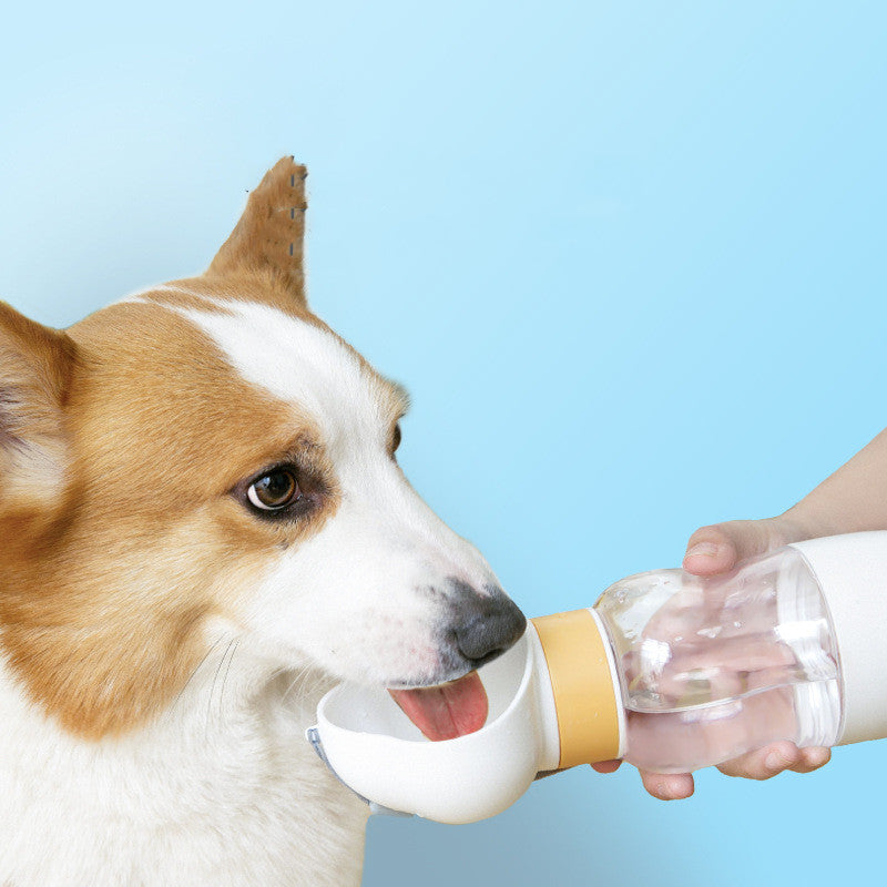 Gourde pour chien 2 en 1 avec gamelle intégrée, pour la balade
