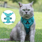 Harnais chat anti-fugue avec laisse et réflecteurs, du S au XL, turquoise