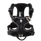 Harnais chien réglable à boucles, du XS au XL, nombreux coloris, noir