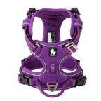 Harnais chien réglable à boucles, du XS au XL, nombreux coloris, violet