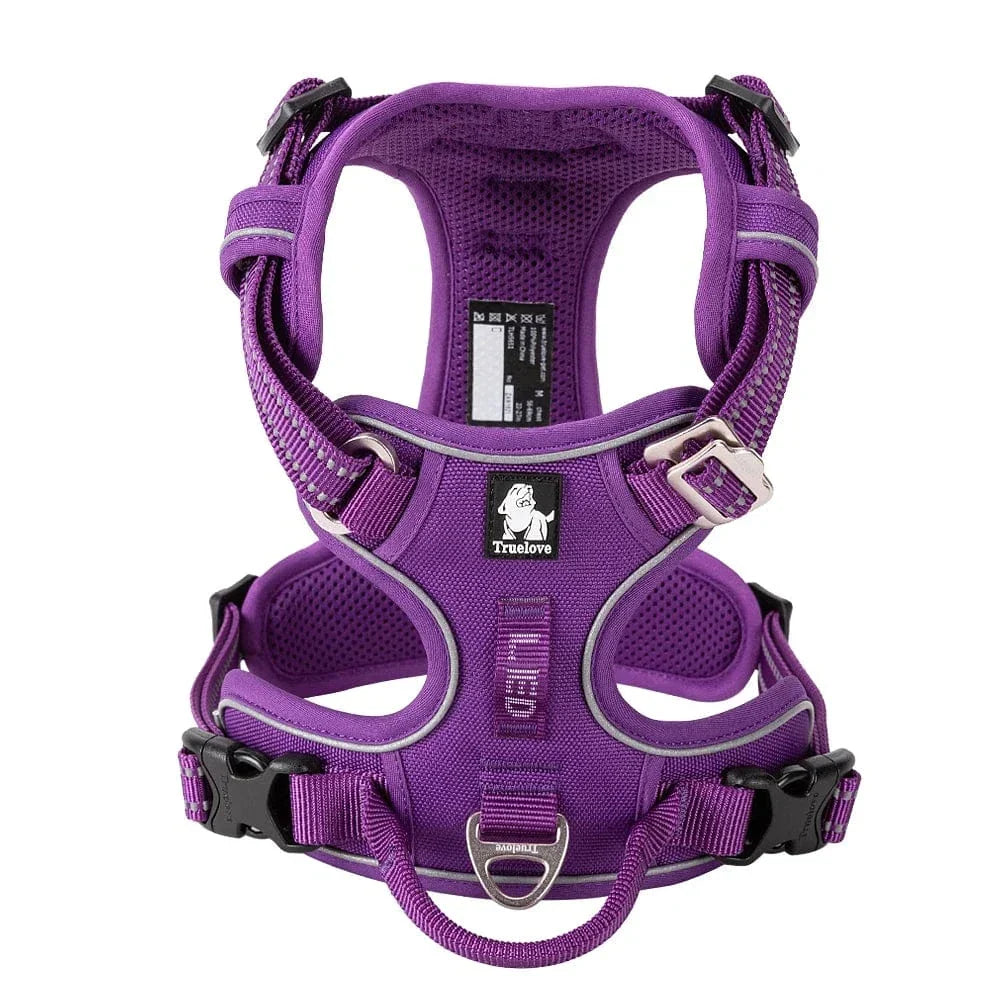 Harnais chien réglable à boucles, du XS au XL, nombreux coloris, violet