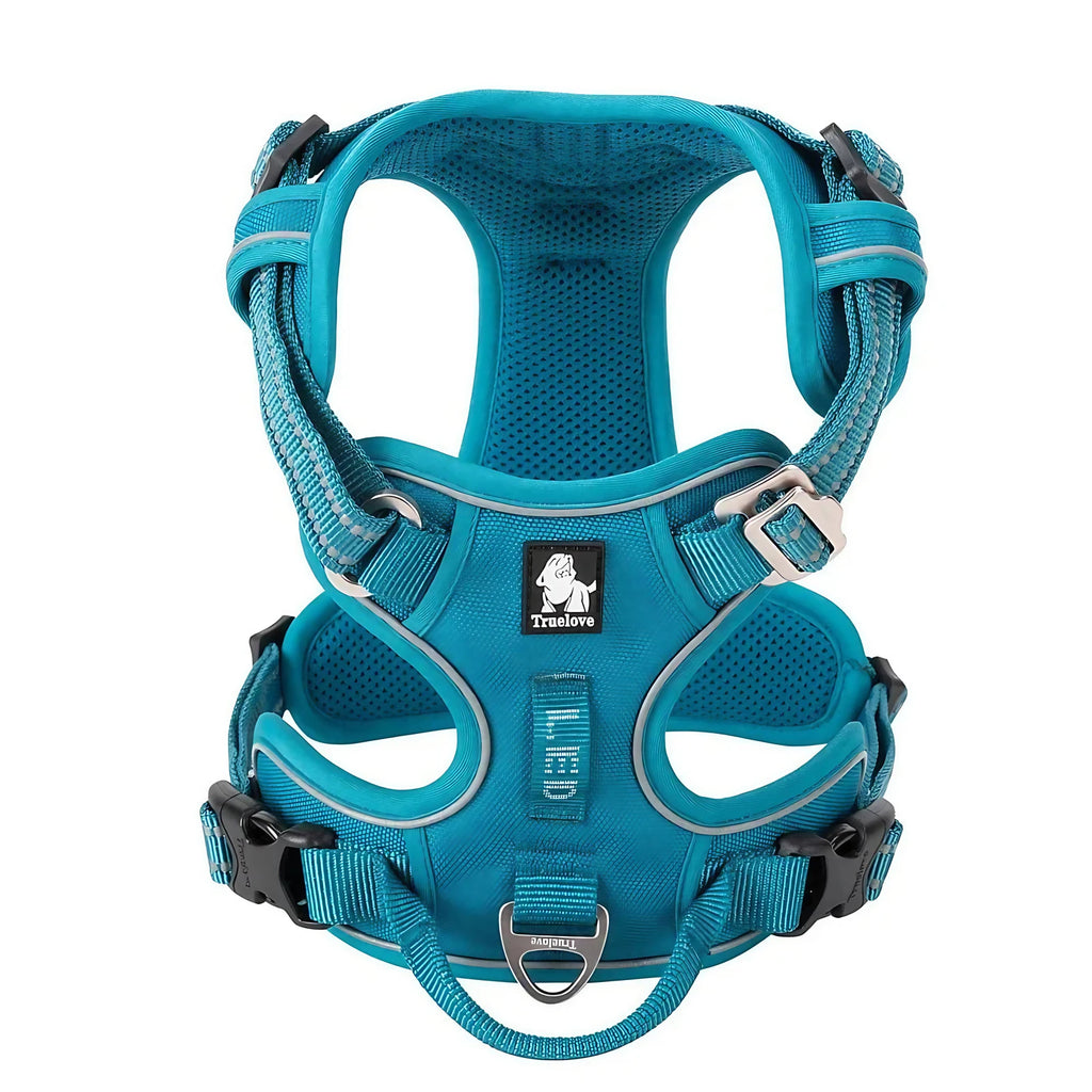 Harnais chien réglable à boucles, du XS au XL, nombreux coloris, bleu