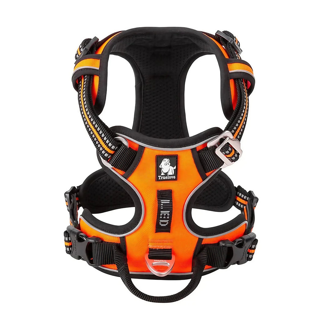 Harnais chien réglable à boucles, du XS au XL, nombreux coloris, orange