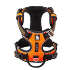Harnais chien réglable à boucles, du XS au XL, nombreux coloris, orange