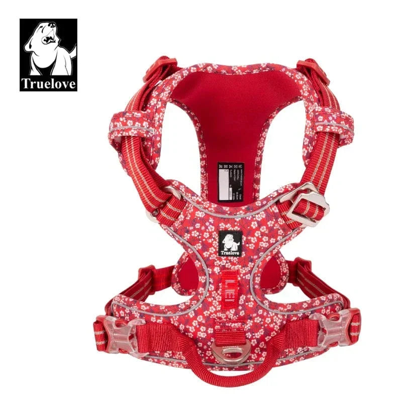 Harnais chien réglable à boucles, du XS au XL, nombreux coloris