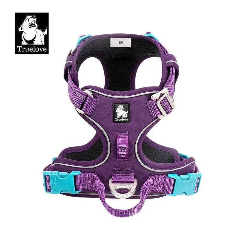 Harnais chien réglable à boucles, du XS au XL, nombreux coloris, violet 2