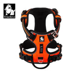Harnais chien réglable à boucles, du XS au XL, nombreux coloris