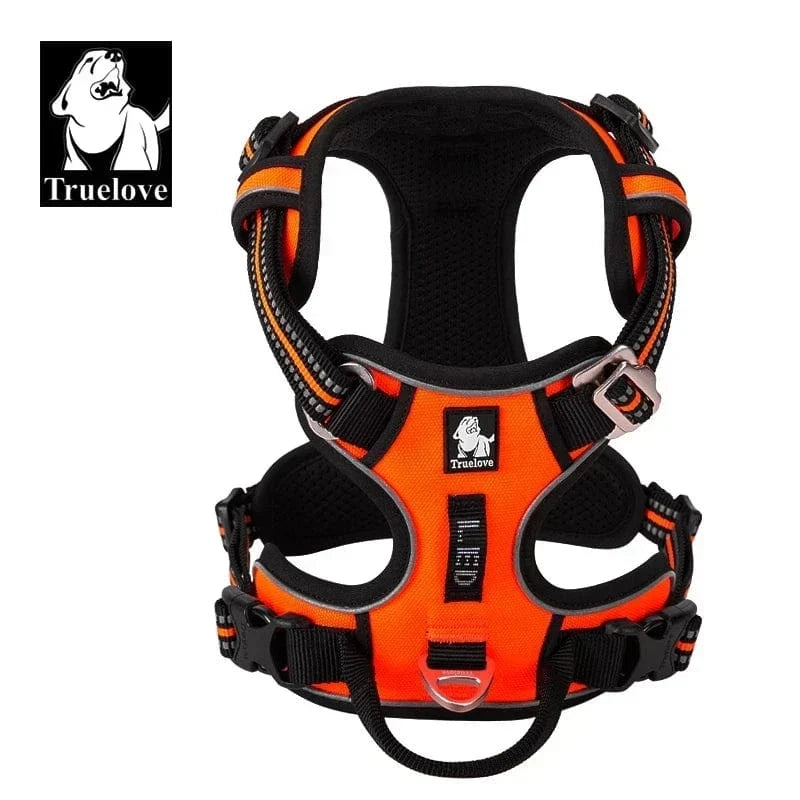 Harnais chien réglable à boucles, du XS au XL, nombreux coloris