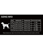 Harnais chien réglable à boucles, du XS au XL, nombreux coloris