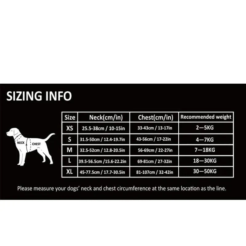 Harnais chien réglable à boucles, du XS au XL, nombreux coloris