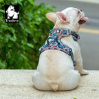 Harnais chien réglable à boucles, du XS au XL, nombreux coloris