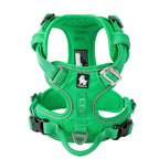 Harnais chien réglable à boucles, du XS au XL, nombreux coloris, vert herbe