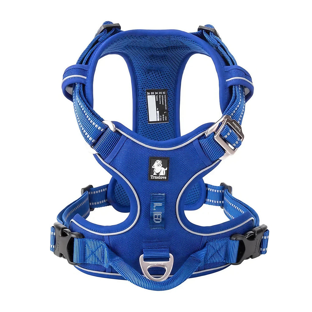 Harnais chien réglable à boucles, du XS au XL, nombreux coloris, bleu royal