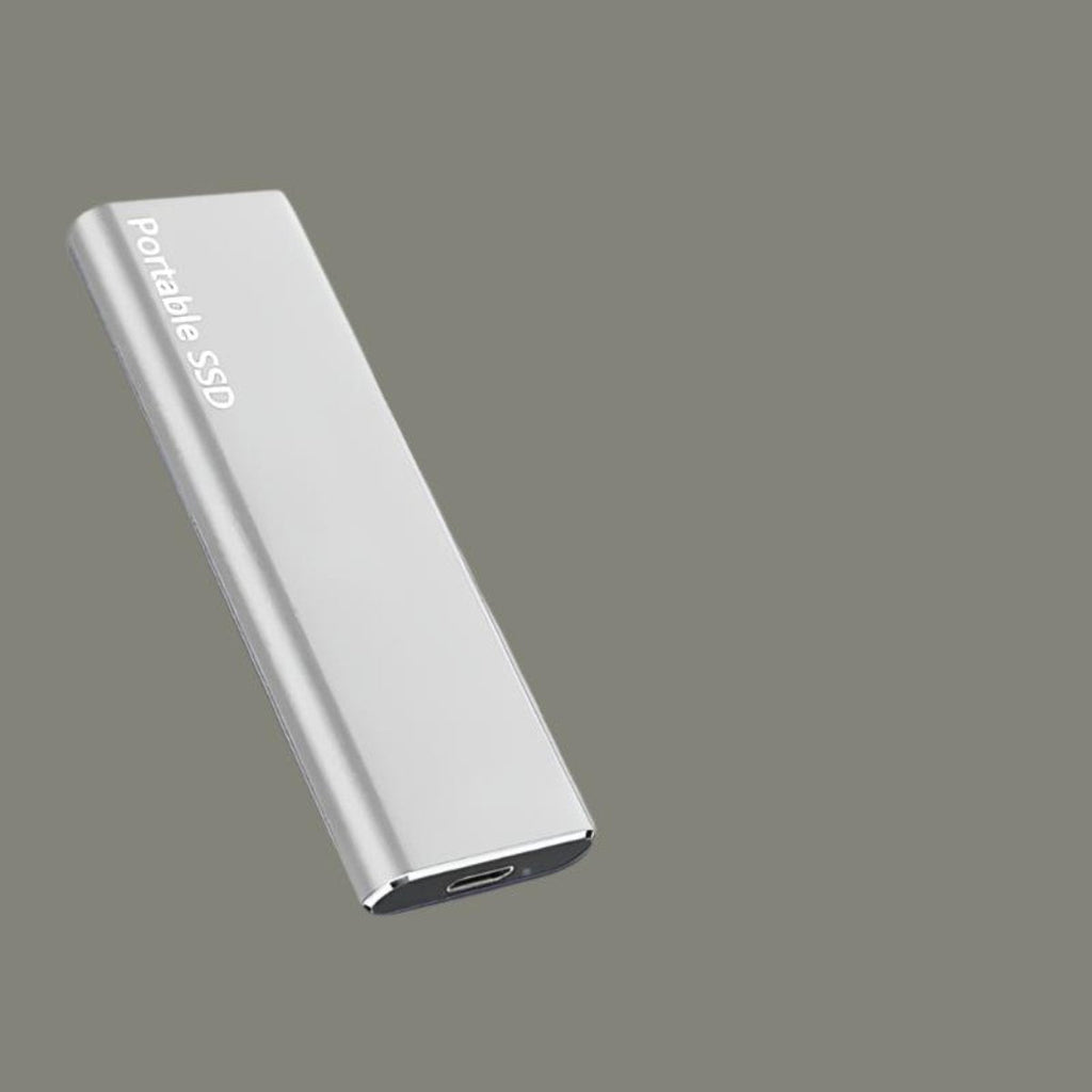 Disque dur externe USB-C 256 Go, compact, quatre coloris, argenté