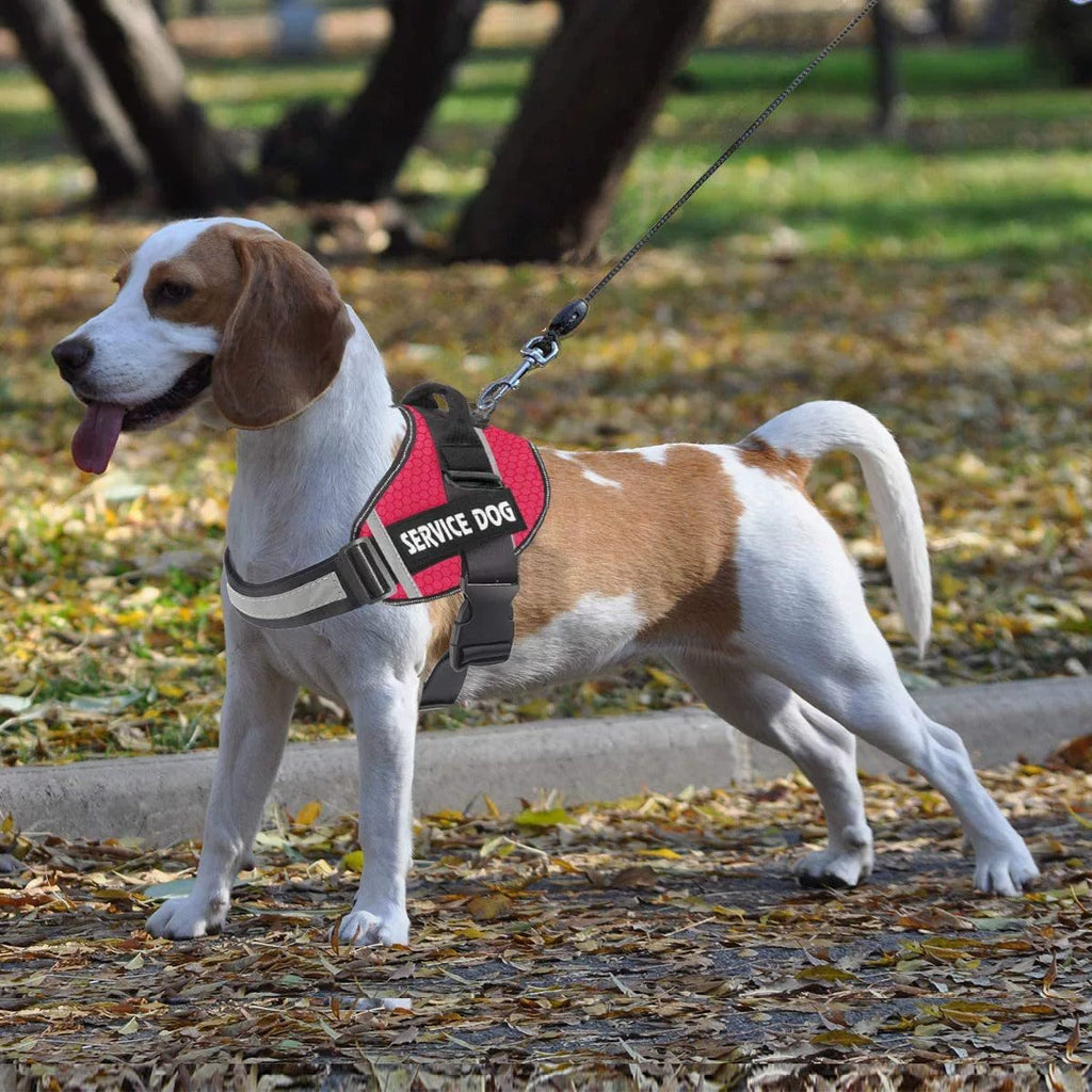 Harnais anti-traction pour chien personnalisable, réfléchissant