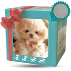 Chiot interactif en peluche pour enfant, blanc ou marron, blanc