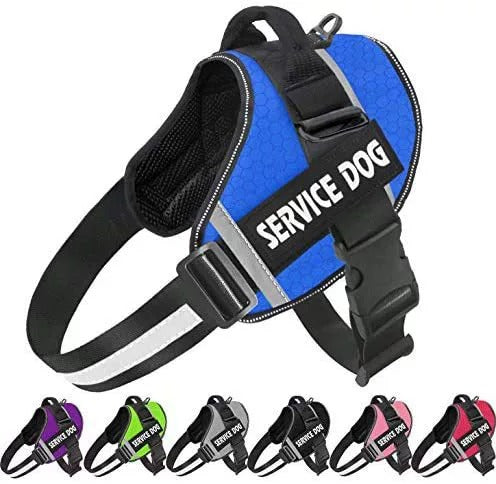 Harnais anti-traction pour chien personnalisable, réfléchissant, bleu
