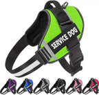 Harnais anti-traction pour chien personnalisable, réfléchissant, vert