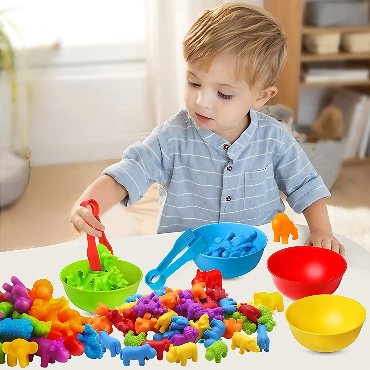 Jeu de tri Montessori pour enfant, trois thèmes au choix