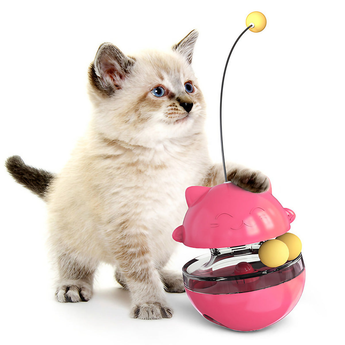 Jouet pour chat 3 en 1, à secouer et distributeur de friandises, rose