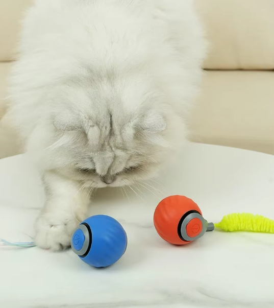 Jouet interactif pour chat à mouvement automatique