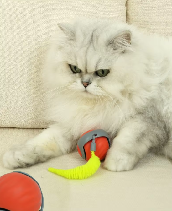 Jouet interactif pour chat à mouvement automatique